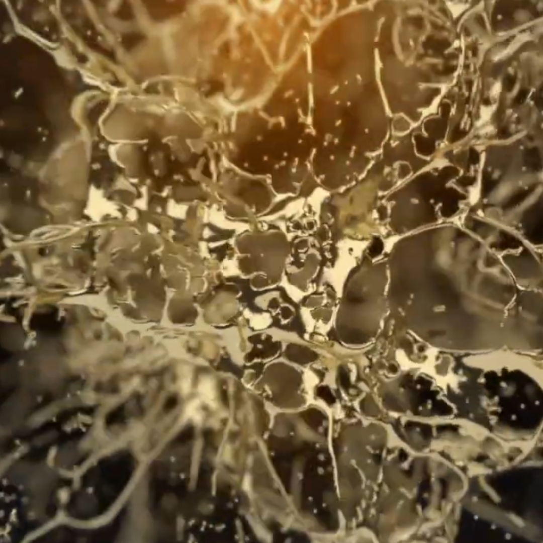 Unleash the Power of Gold - Elevate Your Brand with Stunning Splash Reveal Animations